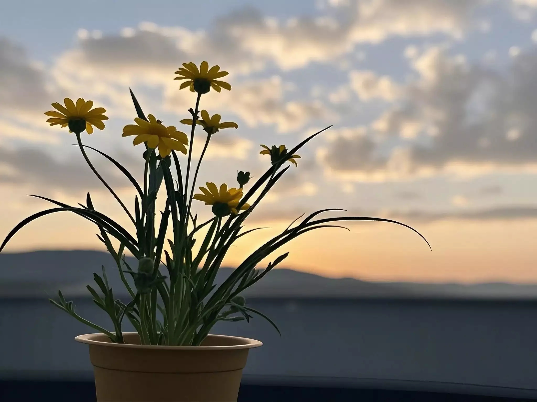 Youthful Radiance Made Simple: Cultivate Good Habits to Slow Aging